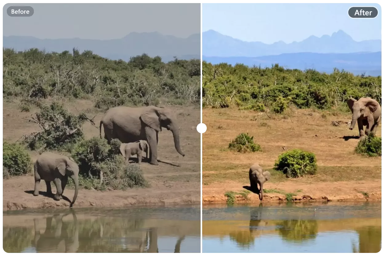 Make Your Landscapes Pop with AI Color Correction