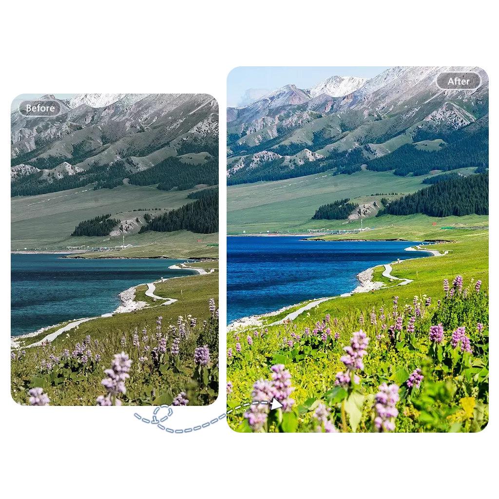 Free AI Color Correction Tool Online